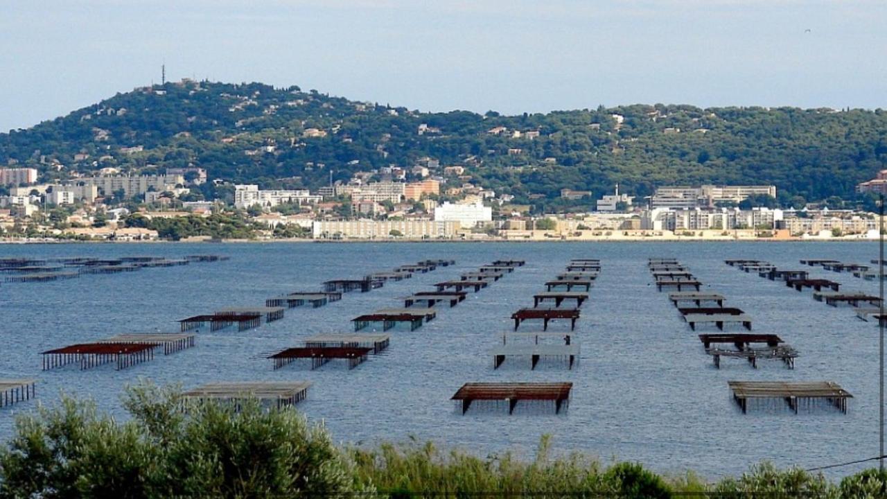 Sublime T2 Tout Confort A Sète Exterior foto